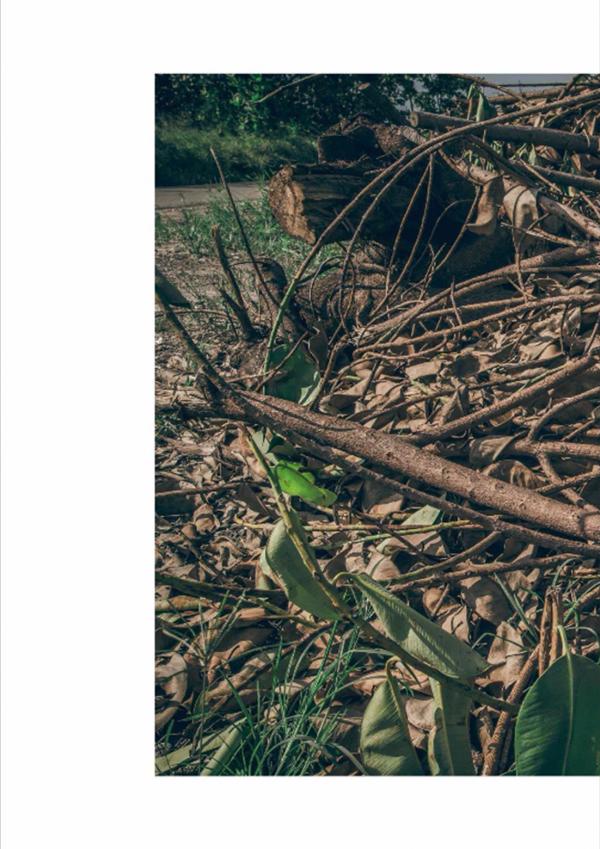 PHOTO-SET-Whoseman-1-吳敵警長來囉~~~我的靴子裡有蛇